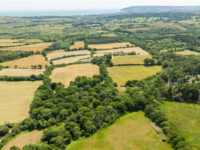 Click to view more details